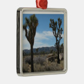 Joshua Tree Nationalpark Silbernes Ornament (Rechts)