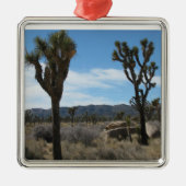 Joshua Tree Nationalpark Silbernes Ornament (Vorne)