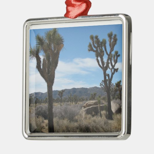 Joshua Tree Nationalpark Silbernes Ornament (Links)