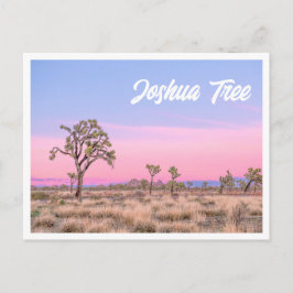 Joshua Tree Nationalpark Sunset Foto Postcard Postkarte