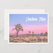 Joshua Tree Nationalpark Sunset Foto Postcard Postkarte (Vorne/Hinten)