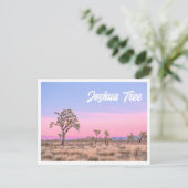 Joshua Tree Nationalpark Sunset Foto Postcard Postkarte (Stehend Vorderseite)