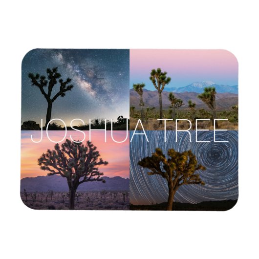 Joshua Tree Nationalpark Sunset Night Landschaft Magnet (Horizontal)