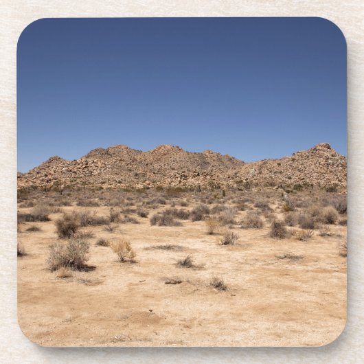 Joshua Tree Nationalpark Untersetzer (Vorderseite)