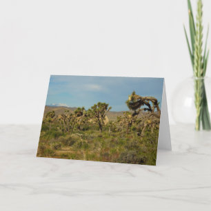 Joshua Tree Nationalpark Wüste Landschaft Karte
