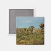 Joshua Tree Nationalpark Wüste Landschaft Magnet (Vorderseite/Rückseite)
