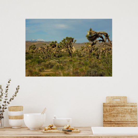 Joshua Tree Nationalpark Wüste Landschaft Poster (Küche)