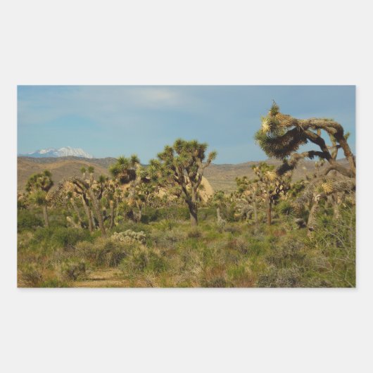 Joshua Tree Nationalpark Wüste Landschaft Rechteckiger Aufkleber (Vorderseite)