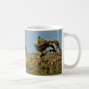 Joshua Tree Nationalpark Wüstenlandschaft Kaffeetasse
