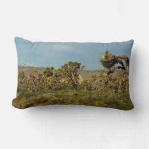 Joshua Tree Nationalpark Wüstenlandschaft Lendenkissen