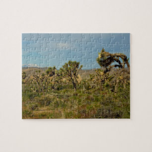 Joshua Tree Nationalpark Wüstenlandschaft Puzzle