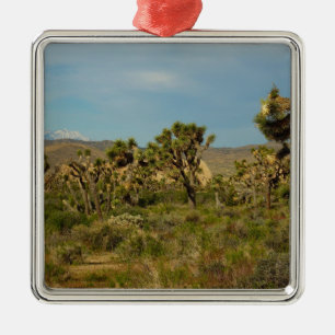 Joshua Tree Nationalpark Wüstenlandschaft Silbernes Ornament