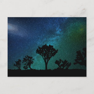 Joshua Tree Night Sky Postcard Postkarte