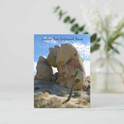 Joshua Tree Park Postcard! Postkarte (Stehend Vorderseite)