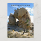 Joshua Tree Park Postcard! Postkarte (Vorderseite)