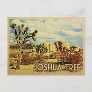 Joshua Tree Postcard California Postkarte