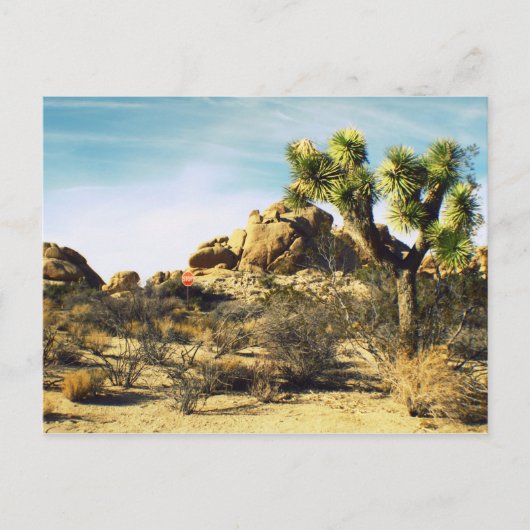 Joshua Tree Postcard Postkarte (Vorderseite)
