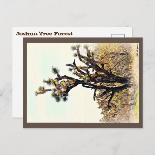Joshua Tree Postcard Postkarte (Vorne/Hinten)