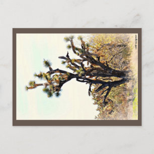 Joshua Tree Postcard Postkarte