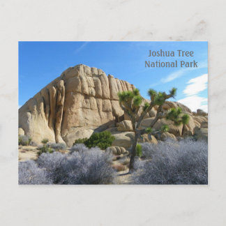 Joshua Tree Postcard! Postkarte
