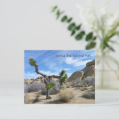 Joshua Tree Postcard! Postkarte (Stehend Vorderseite)