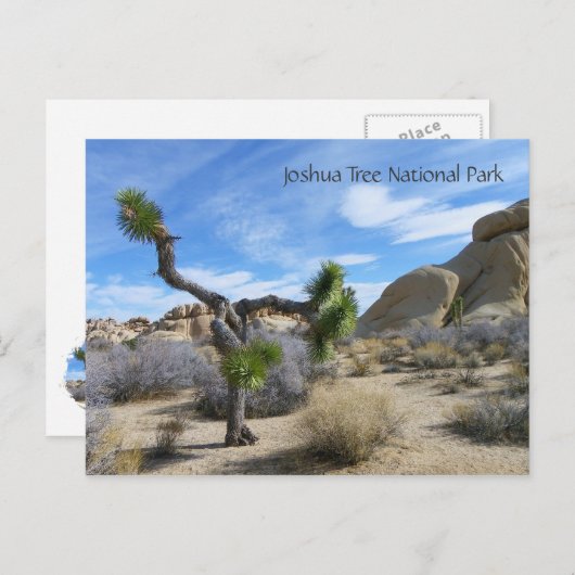 Joshua Tree Postcard! Postkarte (Vorne/Hinten)
