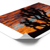 Joshua Tree Poster (Ecke)