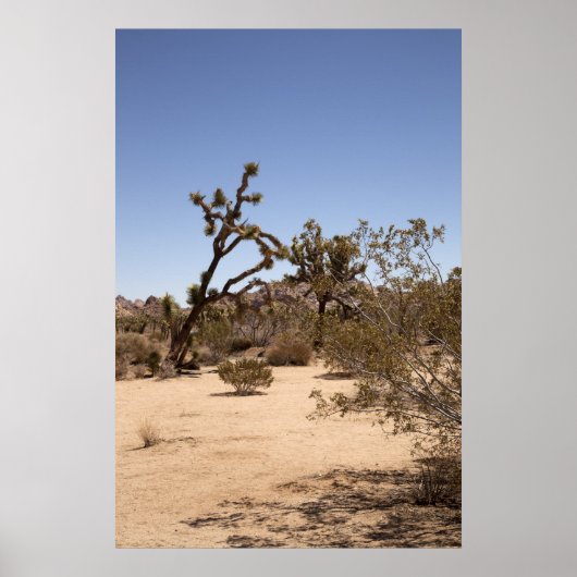 Joshua Tree Poster (Vorne)