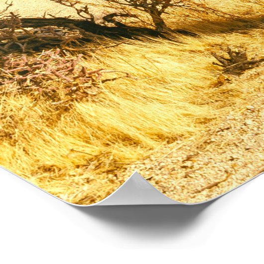 Joshua Tree Poster (Ecke)