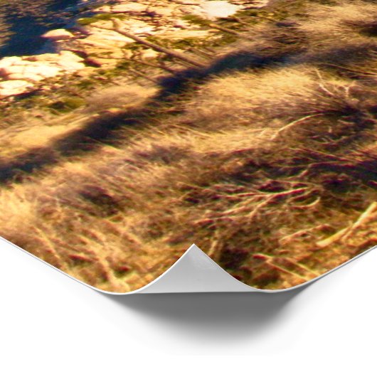 Joshua Tree Poster (Ecke)