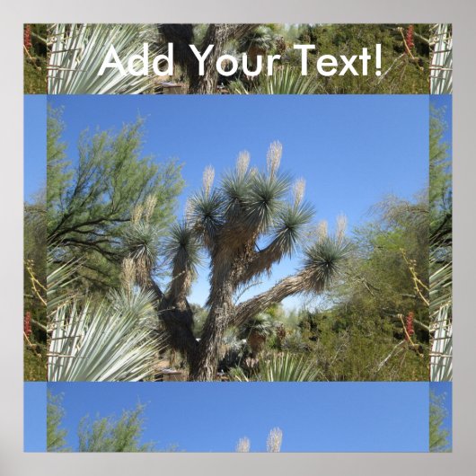 Joshua Tree Poster (Vorne)