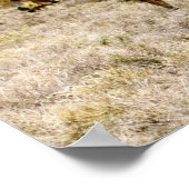 Joshua Tree Poster (Ecke)