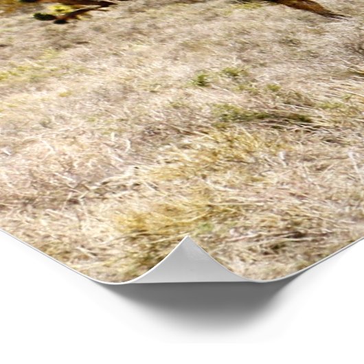 Joshua Tree Poster (Ecke)