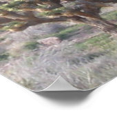 Joshua Tree Poster (Ecke)