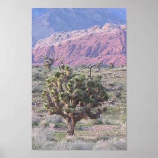 Joshua Tree Poster (Vorne)