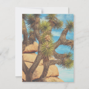 Joshua Tree Postkarte