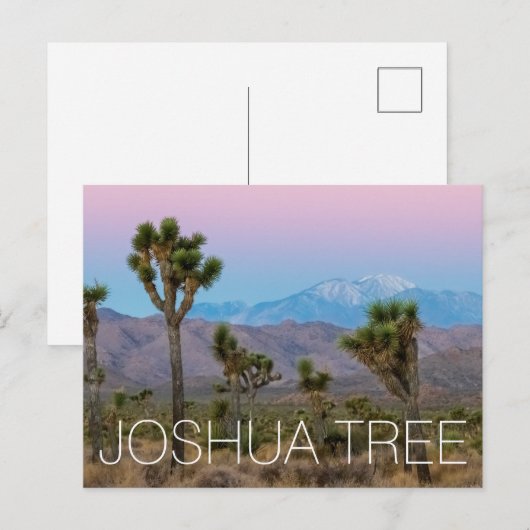 Joshua Tree Postkarte (Vorne/Hinten)