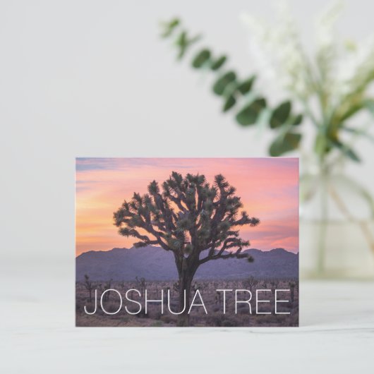 Joshua Tree Postkarte (Stehend Vorderseite)