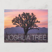 Joshua Tree Postkarte (Vorderseite)