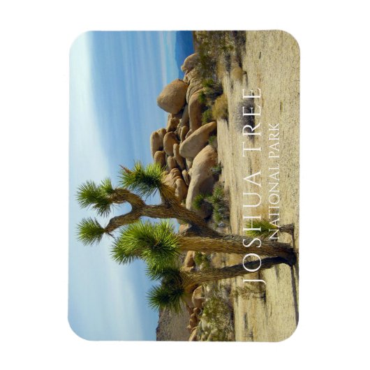 Joshua Tree, Riesenboulders, Wüste Magnet (Vertikal)