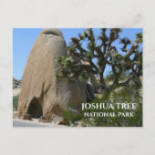 Joshua Tree, Rock Formations Joshua Tree NP Postkarte (Vorderseite)