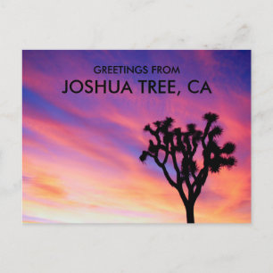 Joshua Tree Rosa Himmel Sonnenuntergang Silhouette Postkarte