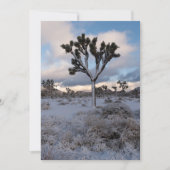 Joshua Tree Snowy Morning #2 Save The Date (Vorderseite)