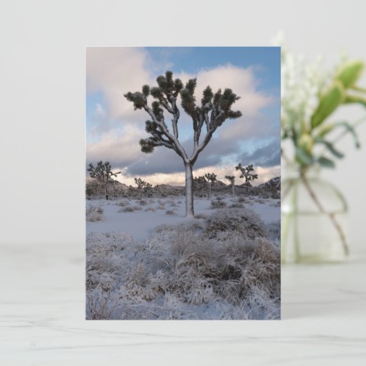 Joshua Tree Snowy Morning #2 Save The Date (Stehend Vorderseite)