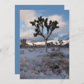 Joshua Tree Snowy Morning #2 Save The Date (Vorne/Hinten)