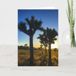 Joshua tree sunset #1 greecard karte