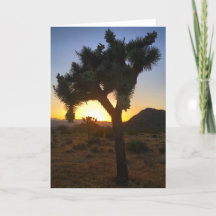 Joshua Tree Sunset #3 Grußkarte
