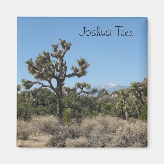 Joshua Tree View Magnet (Vorne)