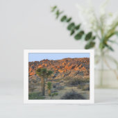 "Joshua Tree with Nachspring" Postkarte (Stehend Vorderseite)