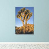 Joshua Tree, Yucca brevifolia) und Granit Leinwanddruck (Insitu (Holzboden))